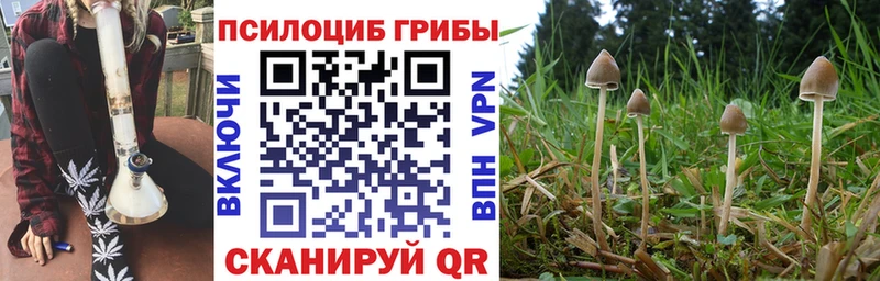 маркетплейс формула  Зея  Галлюциногенные грибы MAGIC MUSHROOMS  цены наркотик 